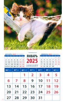 Календарь на магните на 2025 год Котенок в гамаке Календарь на магните на 2025 год Котенок в гамаке