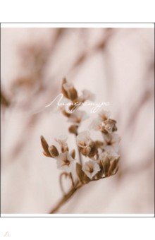 Тетрадь предметная Nude, 48 листов, линейка, литература Тетрадь предметная Nude, 48 листов, линейка, литература