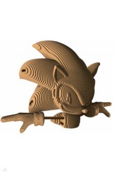 ���� �����