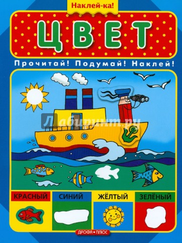 Цвет