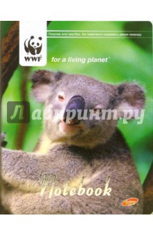  Notebook 6 80  2934 WWF ()