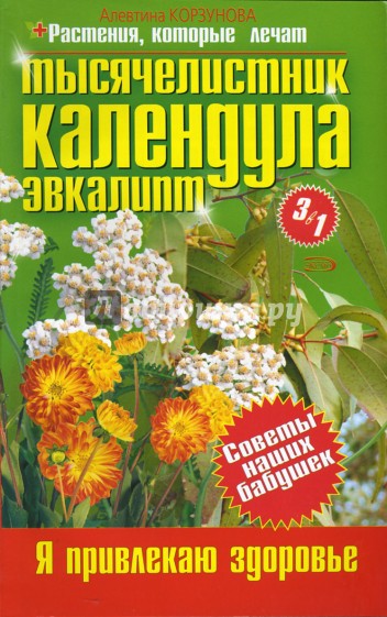 Тысячелистник. Календула. Эвкалипт