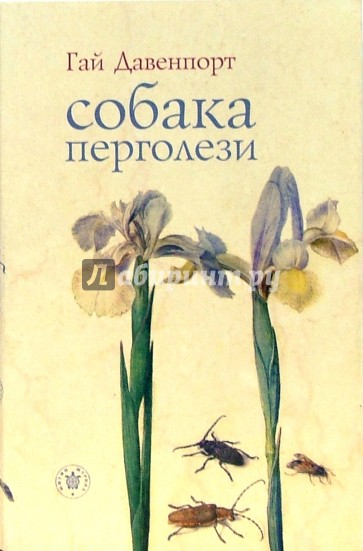 Собака Перголези