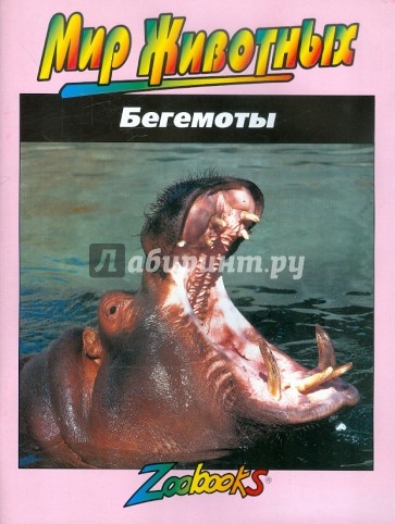 Бегемоты