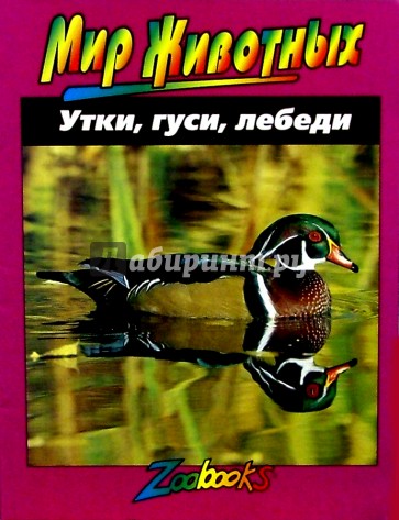 Утки, гуси, лебеди