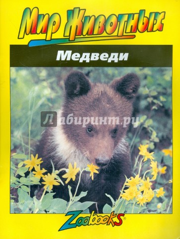 Медведи