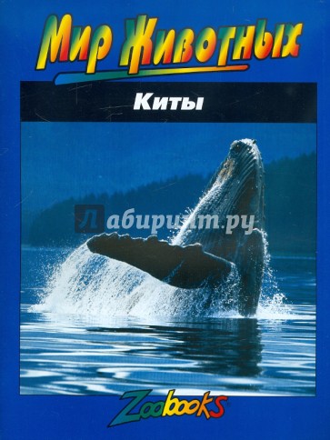 Киты
