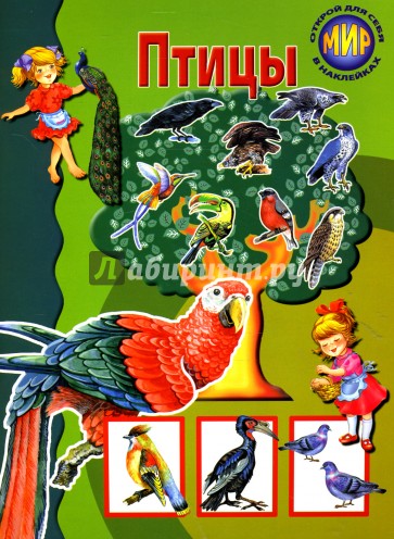 Птицы