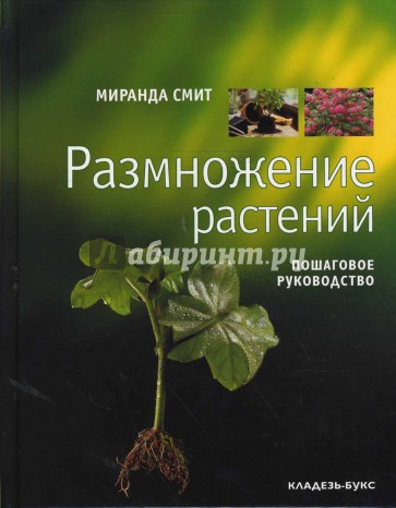 Размножение растений