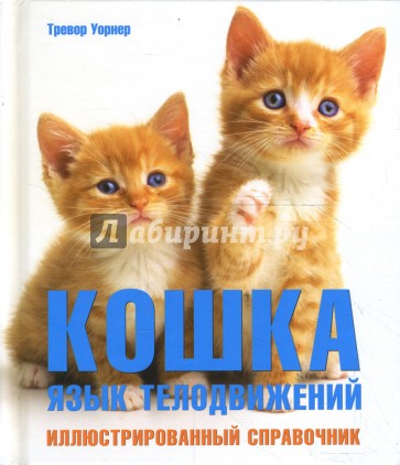 Кошка: язык телодвижений