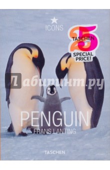  Penguin