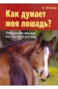 Как думает моя лошадь? Поведение лошади на первый взгляд