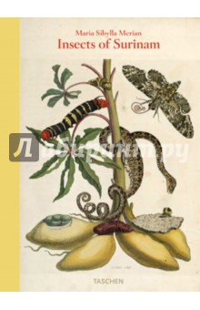 Schmidt-Loske Katharina Maria Sibylla Merian, Insects of Surinam