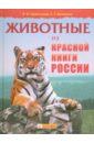 Животные из красной книги России