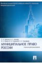 Муниципальное право России: учебник для бакалавров