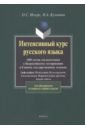 Интенсивный курс русского языка: 1000 тестов для подготовки к Всероссийскому тестированию и ЕГЭ