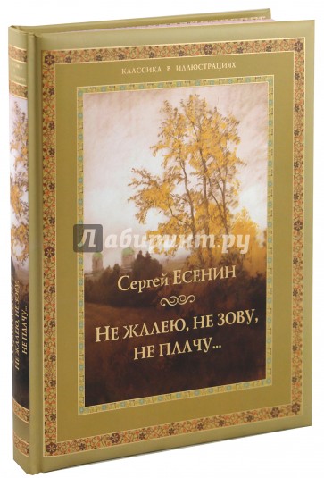 Не жалею, не зову, не плачу...