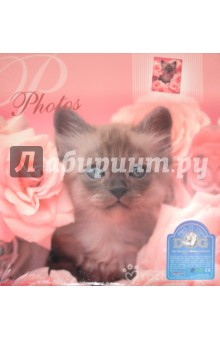    500  "Lovely kittens",   (AV46500)