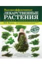 Мазнев Николай Иванович Большая энциклопедия высокоэффективных лекарственных растений