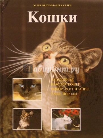 Кошки