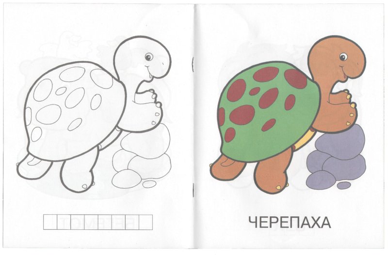 Нарисовать сову поэтапно карандашом картинки Нарисовать сову поэтапно карандашом картинки