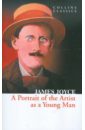 Joyce James A Portrait Of The Artist As A Young Man