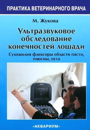 Ультразвуковое обследование конечностей лошади