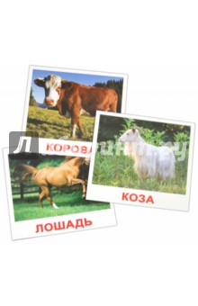 Комплект карточек "Домашние животные" (16, 5 х 19, 5 см)