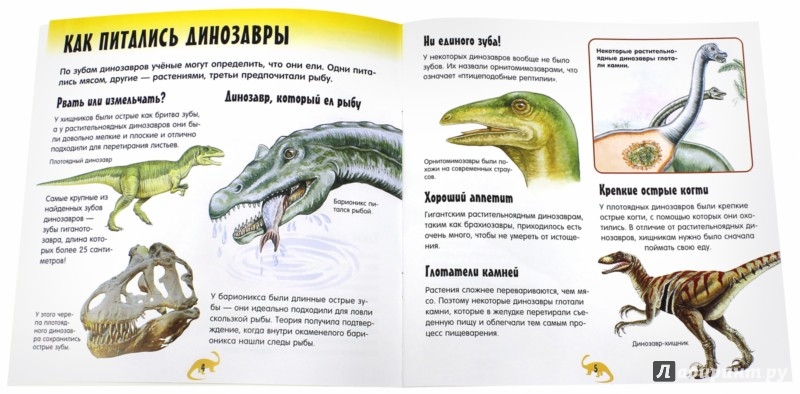 Подарок для генерального директора женщины