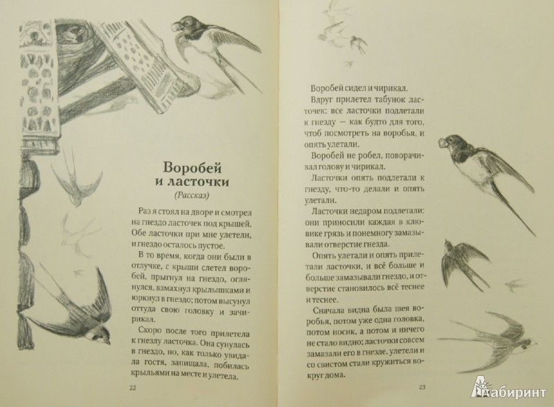 Толстой Лев Николаевич "Косточка. Рассказы из азбуки (+CD)" | Книжный ...