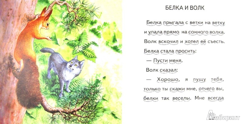 Рассказы и рисунки о волке Рассказы и рисунки о волке