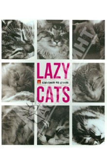  Тетрадь "Ленивые котята" 48 листов (7-48-416)