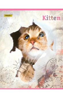     "Proff. Kitten", 48 , 5 (6485135181)