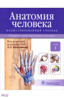 Анатомия человека. Иллюстрированный учебник. В 3-х томах. Том 1. Опорно-двигательный аппарат
