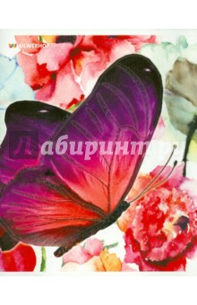    "Butterflies" (48 , ,  ) (811425-55)