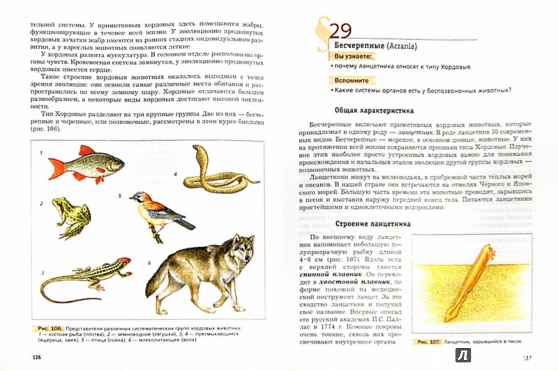 Иллюстрация 1 из 11 для Биология. 7 класс. Учебник. ФГОС - Константинов ...