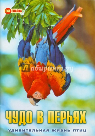 Чудо в перьях. Удивительная жизнь птиц