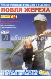     .  61 (DVD)
