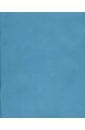  Тетрадь с пластиковой обложкой, 12 листов, косая линейка, синяя (120108)