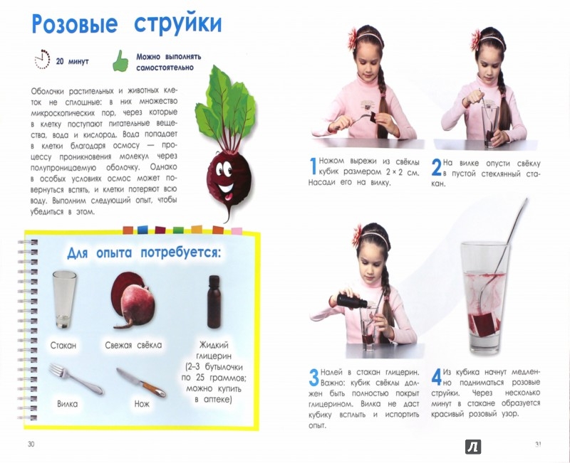 Опыты с растениями в домашних условиях Опыты с растениями в домашних условиях