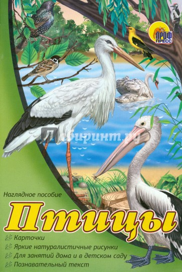 Наглядное пособие А4. Птицы
