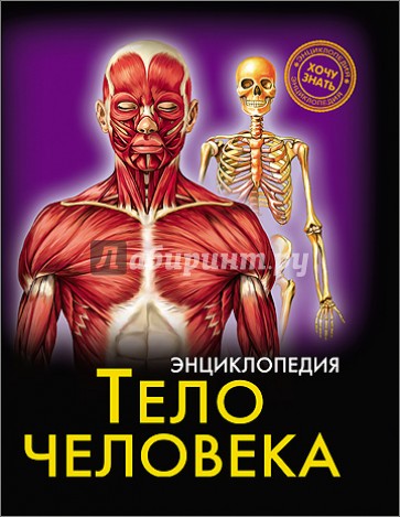 Тело человека