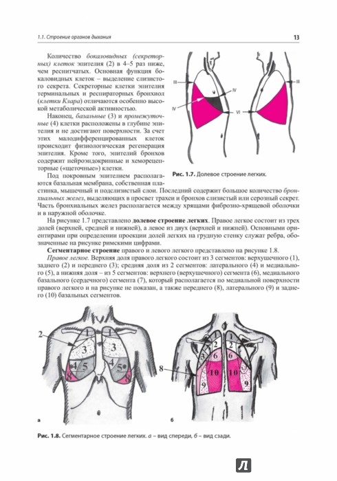 струтынский сердечно-сосудистая система скачать pdf