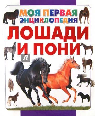 Лошади и пони