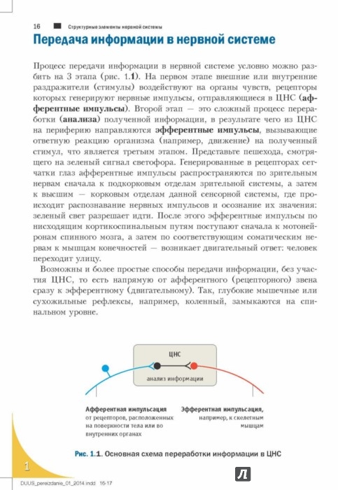 officialprogs - Blog