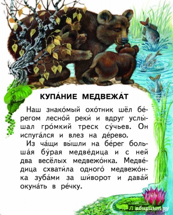 Оказывается птичье гнездо