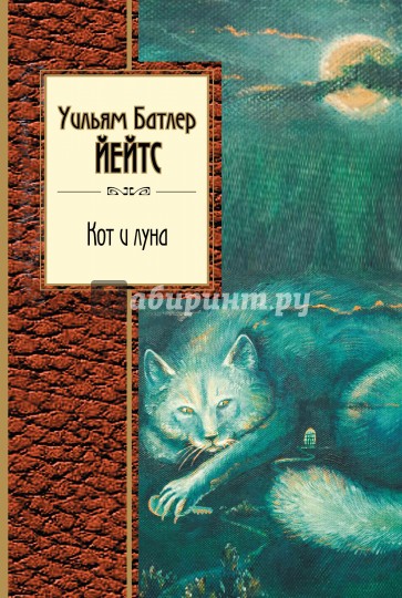 Кот и луна