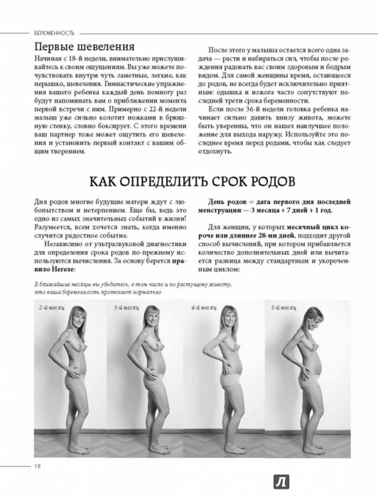 День за днем развитие беременности