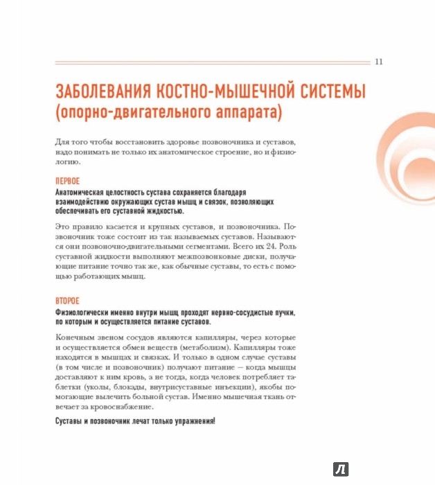 Какие упражнения от суставов Какие упражнения от суставов