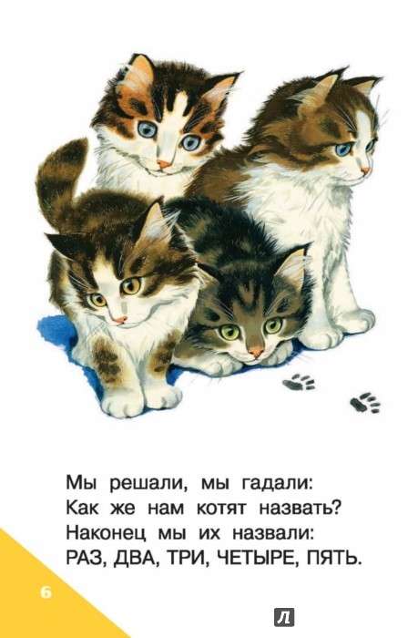 Стих любимому котёнку Стих любимому котёнку
